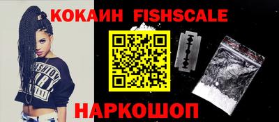 индика Кингисепп