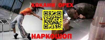 индика Кингисепп