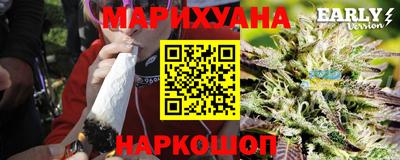 индика Кингисепп