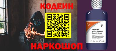 индика Кингисепп