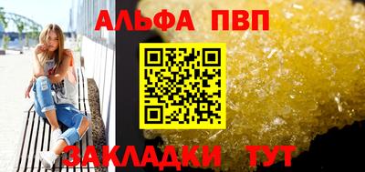 индика Кингисепп