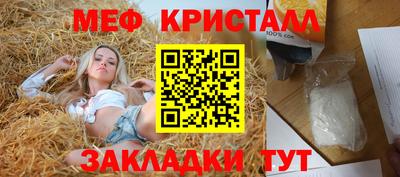 индика Кингисепп