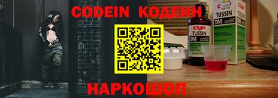 индика Кингисепп
