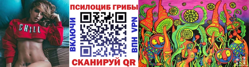 Галлюциногенные грибы Psilocybe  Кольчугино 