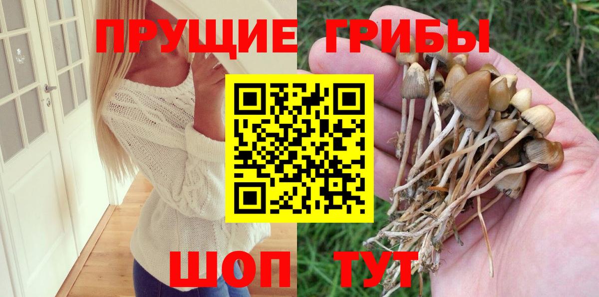 Кольчугино  Галлюциногенные грибы Psilocybine cubensis  Вход с VPN  цена   Галлюциногенные грибы Cubensis 
