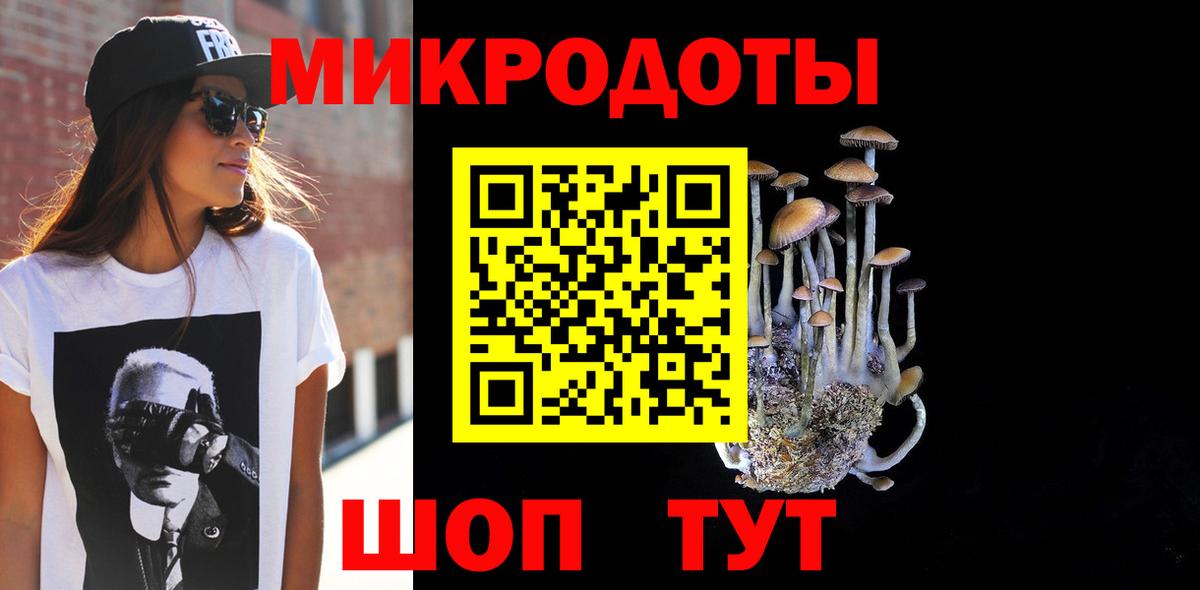 МЕФ Кольчугино