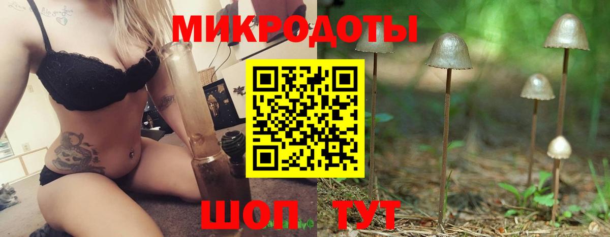 Галлюциногенные грибы GOLDEN TEACHER Кольчугино